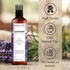 image:imageMajestic Pure 100 Pure Rosemary Oil For Hair Growth  Strengthening Nourishing Volumizing  Infused with Biotin Oil Jojoba Oil amp Castor Oil  Non GMO Verified  67 Fl Oz Pack of 2Lavender