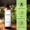 image:imageMajestic Pure 100 Pure Rosemary Oil For Hair Growth  Strengthening Nourishing Volumizing  Infused with Biotin Oil Jojoba Oil amp Castor Oil  Non GMO Verified  67 Fl Oz Pack of 2Rosemary Oil