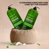 image:imageMajestic Pure Biotin Voluminizing Shampoo and Conditioner Set 2x16 Fl ozceramide
