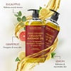 image:imageMajestic Pure Cocoa Mint Massage Oil Cooling Scented Blend 8 Fl OzCellulite