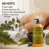 image:imageMajestic Pure Cocoa Mint Massage Oil Cooling Scented Blend 8 Fl OzEucalyptus