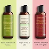 image:imageMajestic Pure Cocoa Mint Massage Oil Cooling Scented Blend 8 Fl OzMassage Oil Set With Roller