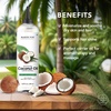 image:imageMajestic Pure Fractionated Coconut Oil  Lightweight Liquid Carrier Oil for Essential Oils Massage Skin Hair amp DIY Personal Care Applications 16 Fl Oz68 Fl Oz Pack of 1