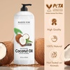 image:imageMajestic Pure Fractionated Coconut Oil  Lightweight Liquid Carrier Oil for Essential Oils Massage Skin Hair amp DIY Personal Care Applications 16 Fl Oz16 Fl Oz Pack of 1