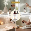 image:imageMajestic Pure Lavender amp Eucalyptus Essential Oil for Diffuser  4 Fl OzFrankincense