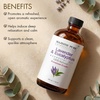 image:imageMajestic Pure Lavender amp Eucalyptus Essential Oil for Diffuser  4 Fl OzLavender  Eucalyptus