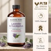 image:imageMajestic Pure Lavender amp Eucalyptus Essential Oil for Diffuser  4 Fl OzLavender  Eucalyptus