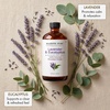 image:imageMajestic Pure Lavender amp Eucalyptus Essential Oil for Diffuser  4 Fl OzLavender  Eucalyptus