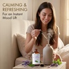 image:imageMajestic Pure Lavender amp Eucalyptus Essential Oil for Diffuser  4 Fl OzLavender  Peppermint