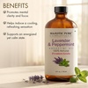 image:imageMajestic Pure Lavender amp Eucalyptus Essential Oil for Diffuser  4 Fl OzLavender  Peppermint