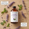 image:imageMajestic Pure Lavender amp Eucalyptus Essential Oil for Diffuser  4 Fl OzLavender  Peppermint