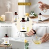 image:imageMajestic Pure Lavender amp Eucalyptus Essential Oil for Diffuser  4 Fl OzLemon  Eucalyptus