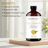 image:imageMajestic Pure Lavender amp Eucalyptus Essential Oil for Diffuser  4 Fl OzLemon  Eucalyptus