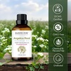 image:imageMajestic Pure Tea Tree Essential Oil for Diffuser  4 Fl OzAngelica