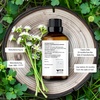 image:imageMajestic Pure Tea Tree Essential Oil for Diffuser  4 Fl OzAngelica