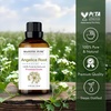 image:imageMajestic Pure Tea Tree Essential Oil for Diffuser  4 Fl OzAngelica