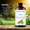 image:imageMajestic Pure Tea Tree Essential Oil for Diffuser  4 Fl OzBasil