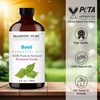 image:imageMajestic Pure Tea Tree Essential Oil for Diffuser  4 Fl OzBasil
