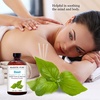 image:imageMajestic Pure Tea Tree Essential Oil for Diffuser  4 Fl OzBasil