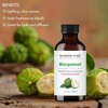image:imageMajestic Pure Tea Tree Essential Oil for Diffuser  4 Fl OzBergamot