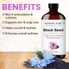 image:imageMajestic Pure Tea Tree Essential Oil for Diffuser  4 Fl OzBlackSeed