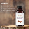 image:imageMajestic Pure Tea Tree Essential Oil for Diffuser  4 Fl OzCassia