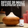 image:imageMajestic Pure Tea Tree Essential Oil for Diffuser  4 Fl OzCassia