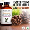 image:imageMajestic Pure Tea Tree Essential Oil for Diffuser  4 Fl OzCedarwood