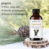 image:imageMajestic Pure Tea Tree Essential Oil for Diffuser  4 Fl OzCedarwood