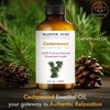 image:imageMajestic Pure Tea Tree Essential Oil for Diffuser  4 Fl OzCedarwood