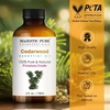 image:imageMajestic Pure Tea Tree Essential Oil for Diffuser  4 Fl OzCedarwood