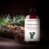 image:imageMajestic Pure Tea Tree Essential Oil for Diffuser  4 Fl OzCedarwood