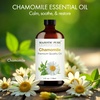 image:imageMajestic Pure Tea Tree Essential Oil for Diffuser  4 Fl OzChamomile