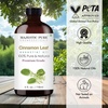 image:imageMajestic Pure Tea Tree Essential Oil for Diffuser  4 Fl OzCinnamon