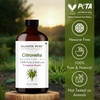 image:imageMajestic Pure Tea Tree Essential Oil for Diffuser  4 Fl OzCitronella