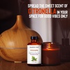 image:imageMajestic Pure Tea Tree Essential Oil for Diffuser  4 Fl OzCitronella