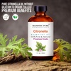 image:imageMajestic Pure Tea Tree Essential Oil for Diffuser  4 Fl OzCitronella