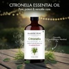 image:imageMajestic Pure Tea Tree Essential Oil for Diffuser  4 Fl OzCitronella