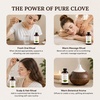 image:imageMajestic Pure Tea Tree Essential Oil for Diffuser  4 Fl OzClove