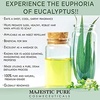 image:imageMajestic Pure Tea Tree Essential Oil for Diffuser  4 Fl OzEucalyptus