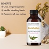image:imageMajestic Pure Tea Tree Essential Oil for Diffuser  4 Fl OzEucalyptus