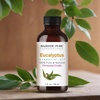 image:imageMajestic Pure Tea Tree Essential Oil for Diffuser  4 Fl OzEucalyptus