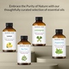 image:imageMajestic Pure Tea Tree Essential Oil for Diffuser  4 Fl OzEucalyptus