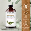 image:imageMajestic Pure Tea Tree Essential Oil for Diffuser  4 Fl OzEucalyptus