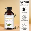 image:imageMajestic Pure Tea Tree Essential Oil for Diffuser  4 Fl OzEucalyptus