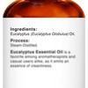 image:imageMajestic Pure Tea Tree Essential Oil for Diffuser  4 Fl OzEucalyptus