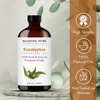 image:imageMajestic Pure Tea Tree Essential Oil for Diffuser  4 Fl OzEucalyptus