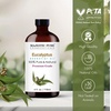 image:imageMajestic Pure Tea Tree Essential Oil for Diffuser  4 Fl OzEucalyptus