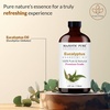 image:imageMajestic Pure Tea Tree Essential Oil for Diffuser  4 Fl OzEucalyptus