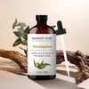 image:imageMajestic Pure Tea Tree Essential Oil for Diffuser  4 Fl OzEucalyptus